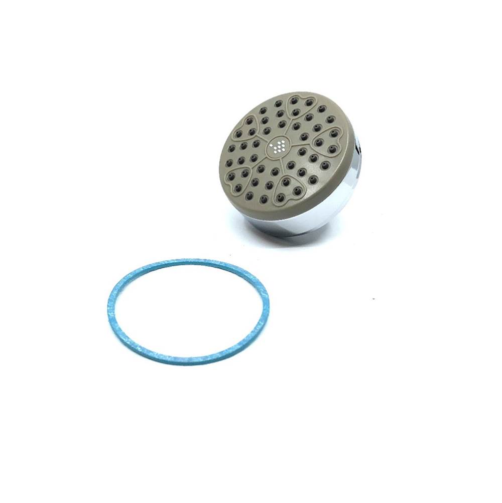Symmons Showerhead and Gasket