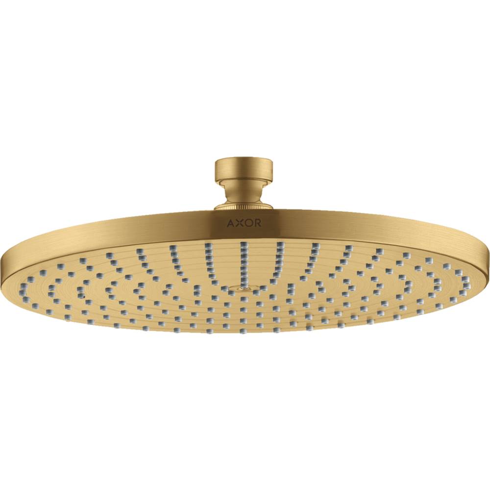 Axor Starck Showerhead 240 1-Jet, 1.75 GPM in Brushed Gold Optic