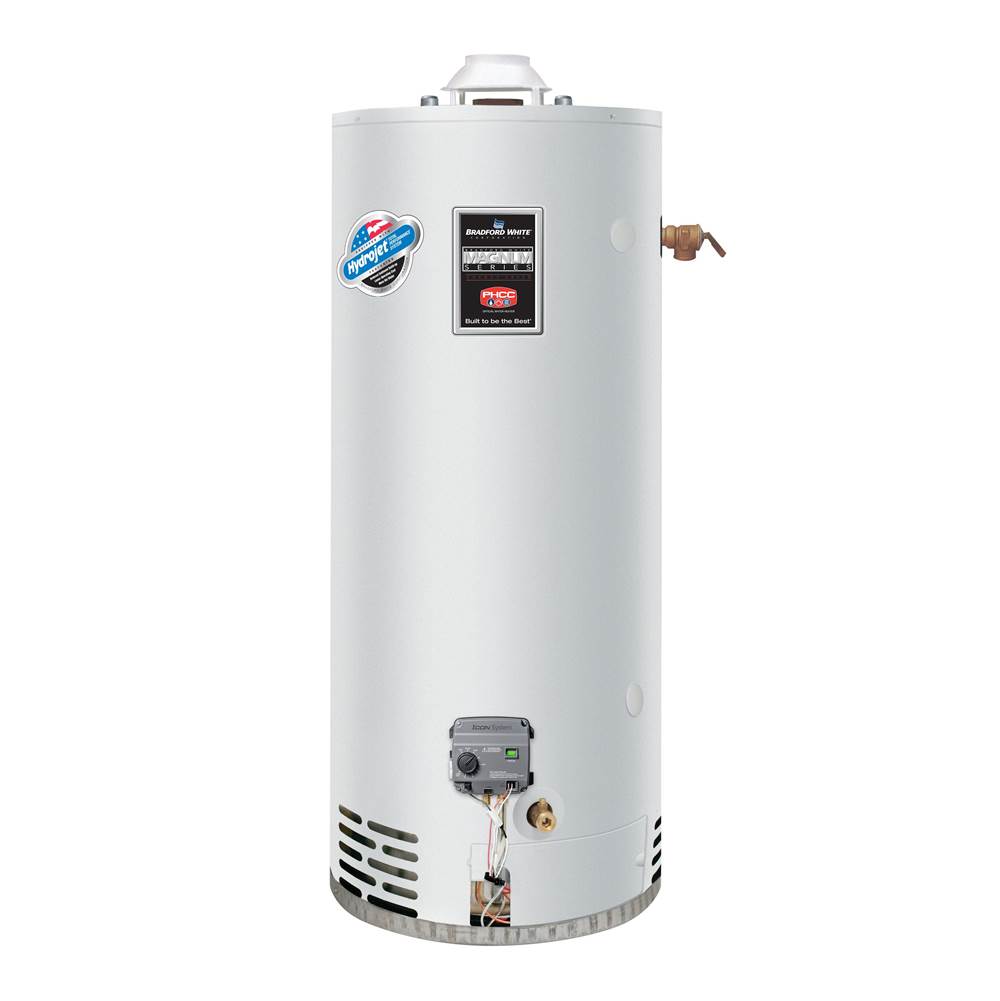 Bradford White 55 Gallon Light-Duty Commercial Gas (Liquid Propane) Atmospheric Vent Water Heater