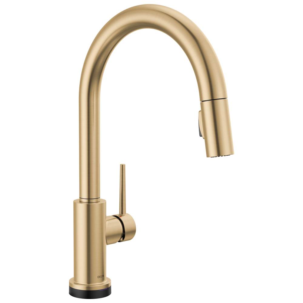 Delta Faucet Trinsic® Touch2O® Kitchen Faucet with Touchless Technology