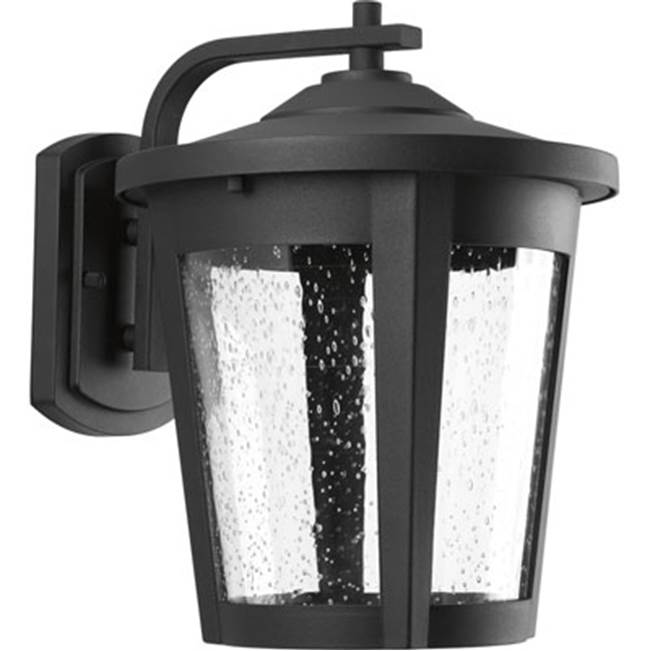 Progress Lighting East Haven Collection One-Light Large LED Wall Lantern