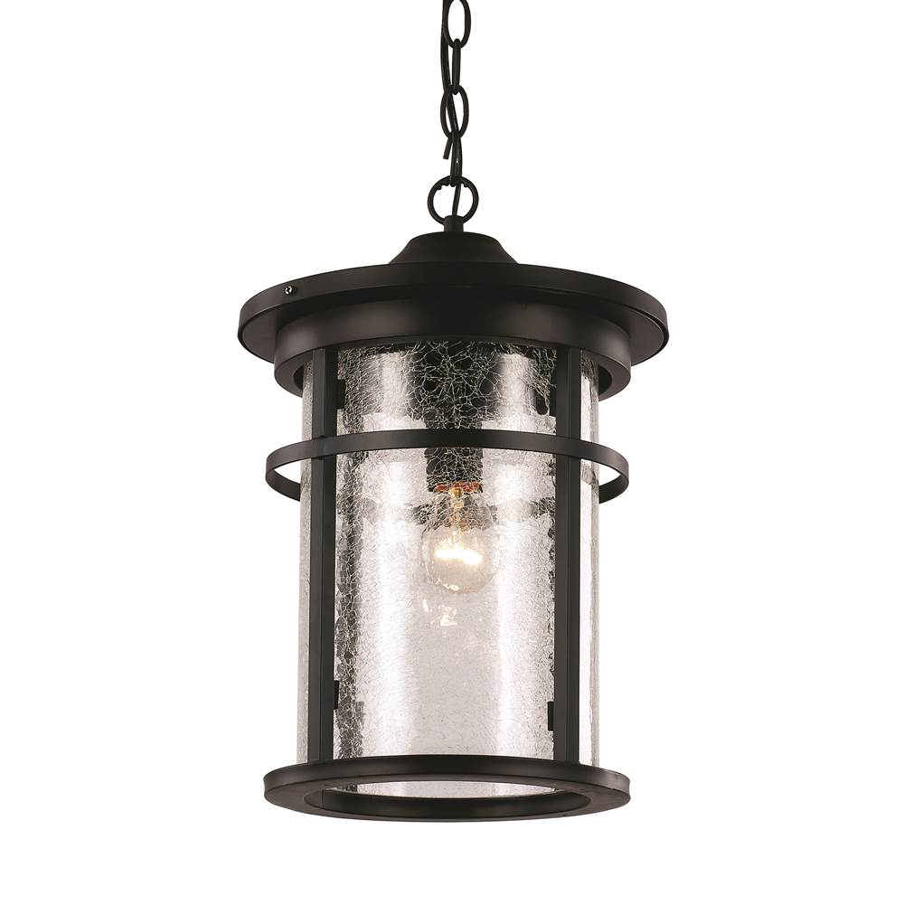 Trans Globe Lighting Avalon 13.75'' Hanging Lantern