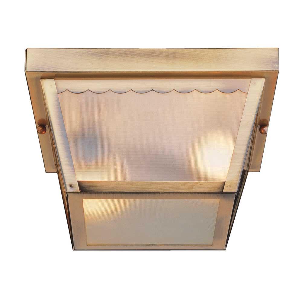 Trans Globe Lighting - Outdoor Ceiling Lighting