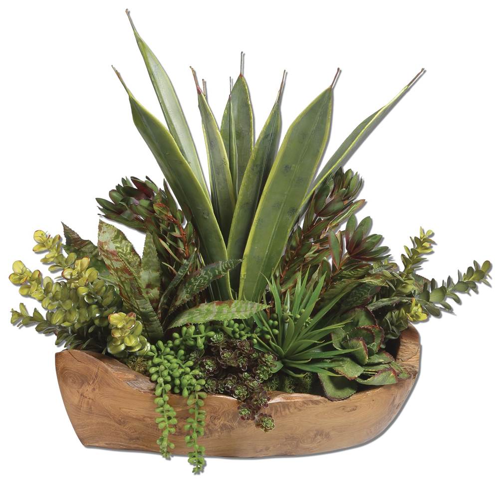 Uttermost Uttermost Salar Succulents In Teak Bowl