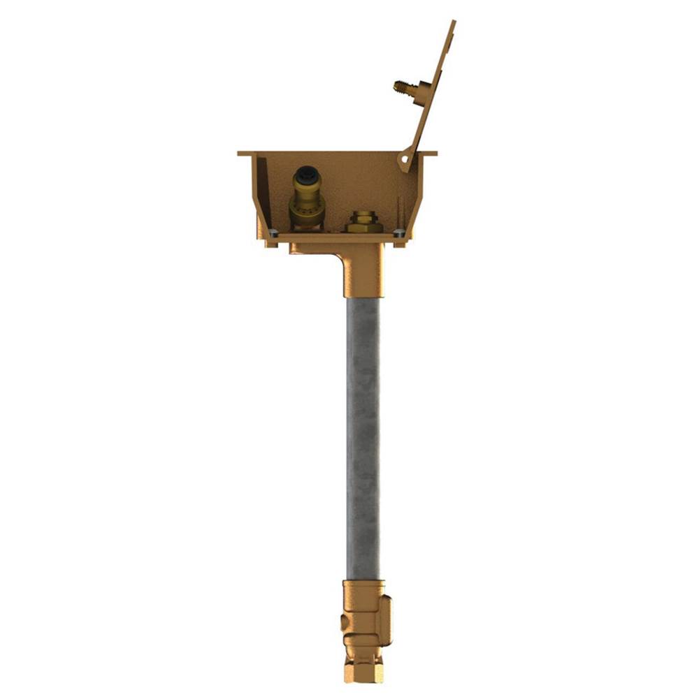Woodford Manufacturing Model Y95 Lawn Hydrant 2 Feet, Polished Brass